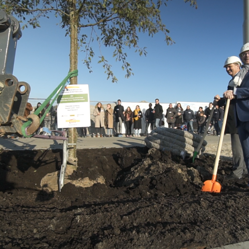 Boom planten 2.png