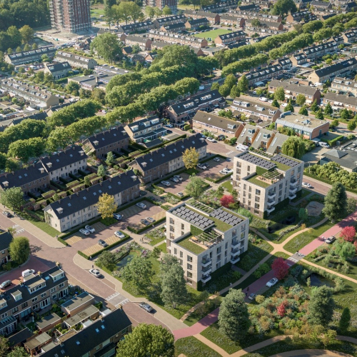 de geelvinck.jpg