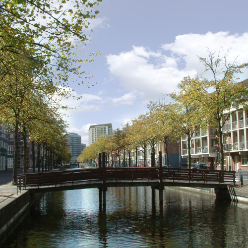 8289_spui-lamgroen-impressie_INBO_6.jpg