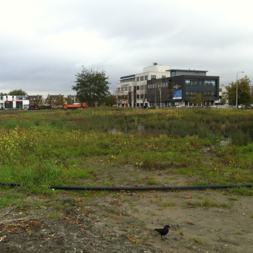 foto 1.JPG