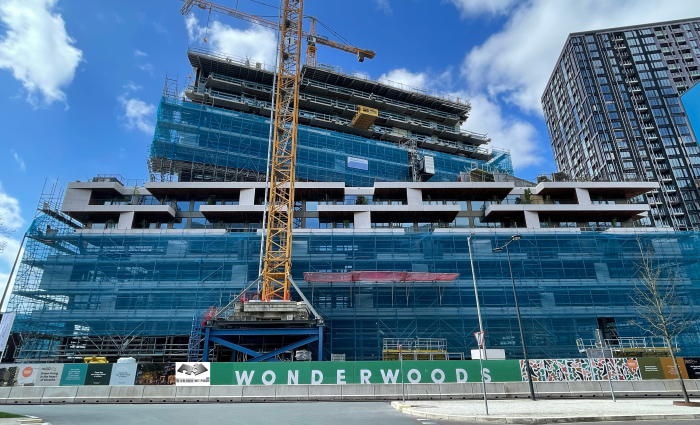 Wonderwoods 12.jpg