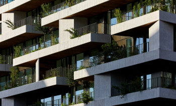 hoogste punt Wonderwoods