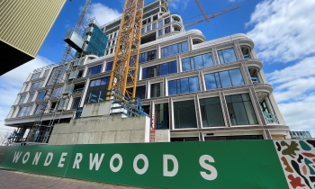 Wonderwoods 6.jpg
