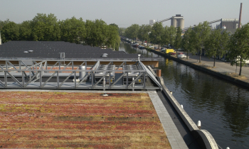 nolet 06-2005 (14).jpg