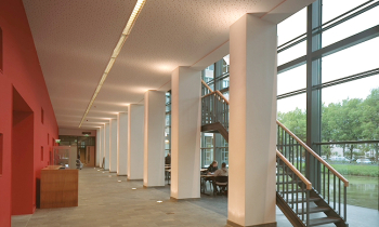 IMG0010.jpg