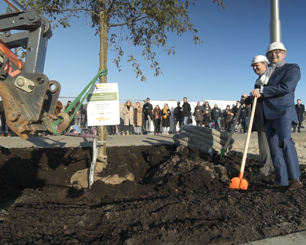 Boom planten 2.png
