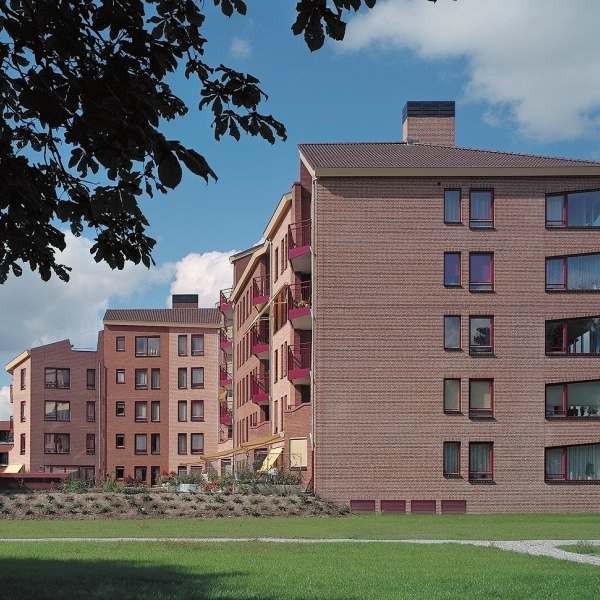 IMG0010.jpg