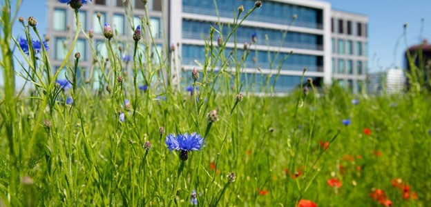 BREEAM Excellent Oplevercertificaat - foto VU.jpg